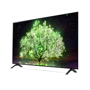 Televizorius LG OLED55A13LA.AEU