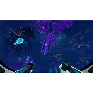 Žaidimas PS4 Subnautica: Below Zero