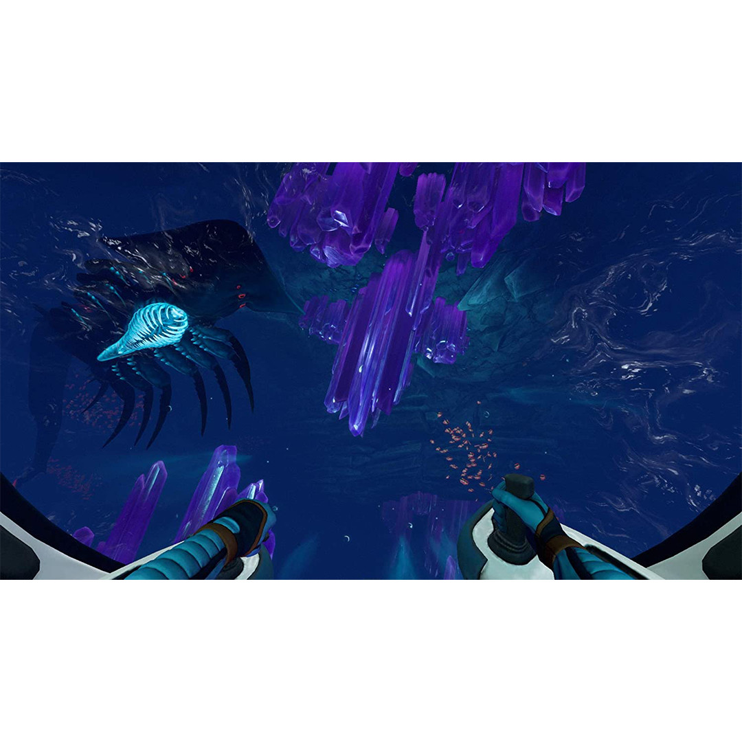 Žaidimas PS4 Subnautica: Below Zero