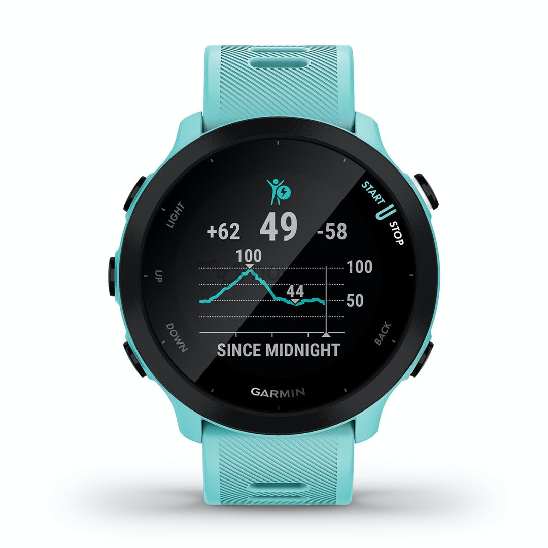 Išmanusis laikrodis Garmin Forerunner 55, Aqua