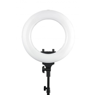 Ring light Wistream Halo 300