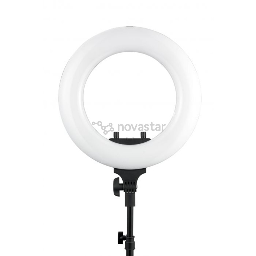 Ring light Wistream Halo 300
