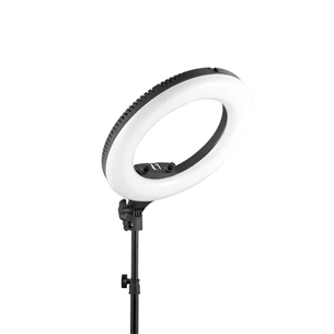 Ring light Wistream Halo 300