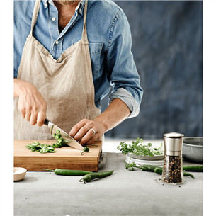 WMF SpitzenKlasse Plus 20 cm - Šefo peilis