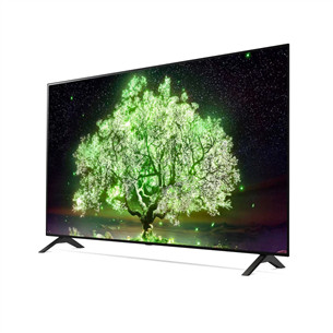 Televizorius LG OLED48A13LA.AEU