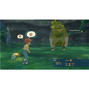 Žaidimas PS4 Ni No Kuni Compilation