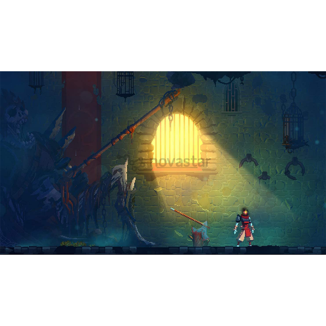 Žaidimas PS4 Dead Cells Action Game of The Year