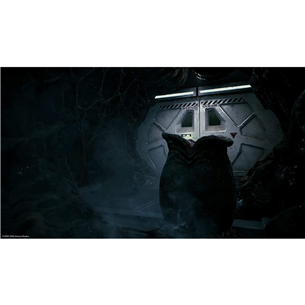 Žaidimas Xbox One / Series X Aliens: Fireteam Elite