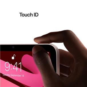 Apple iPad mini (2021), 8,3", 256 ГБ, WiFi, розовый - Планшет