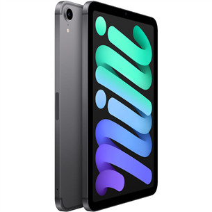 Apple iPad mini 2021, 64 GB WiFi + 5G, Space Grey - Planšetinis kompiuteris