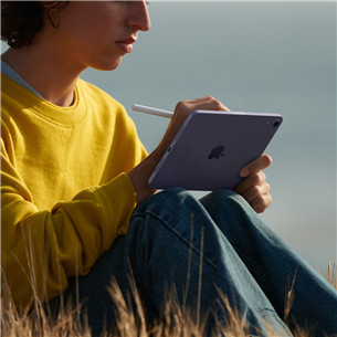 Apple iPad mini 2021, 64 GB WiFi + 5G, Space Grey - Planšetinis kompiuteris