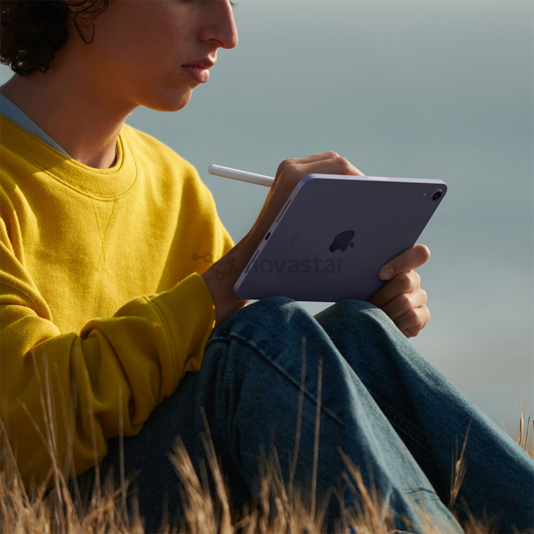 Apple iPad mini (2021), 8,3", 256 ГБ, WiFi + LTE, сиреневый - Планшет