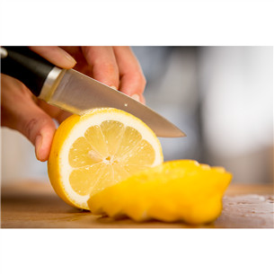 Peilis Tefal Ice Force 9 cm, K2320514