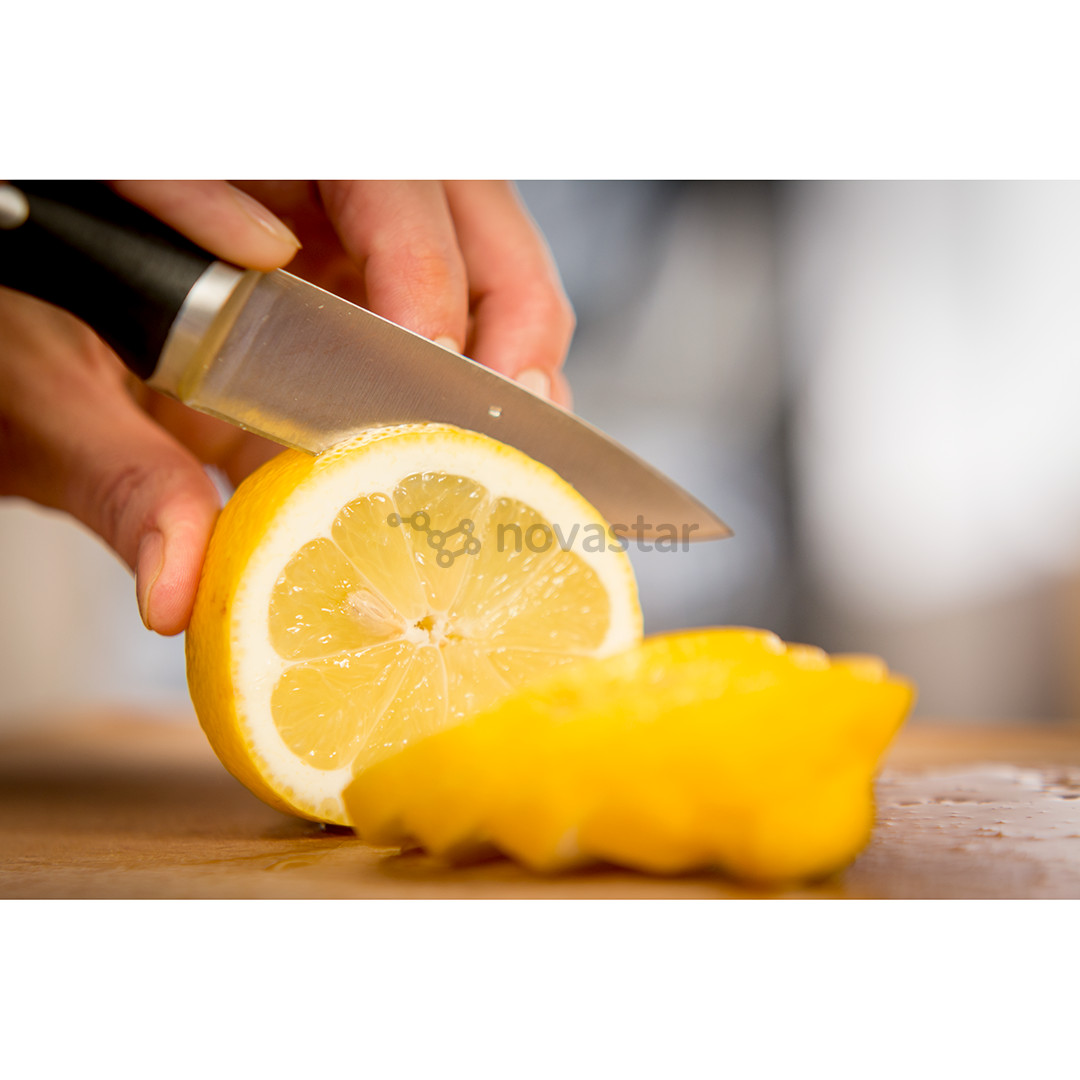 Peilis Tefal Ice Force 9 cm, K2320514