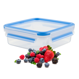 Maisto indelis Tefal 0,85 L., K3022112