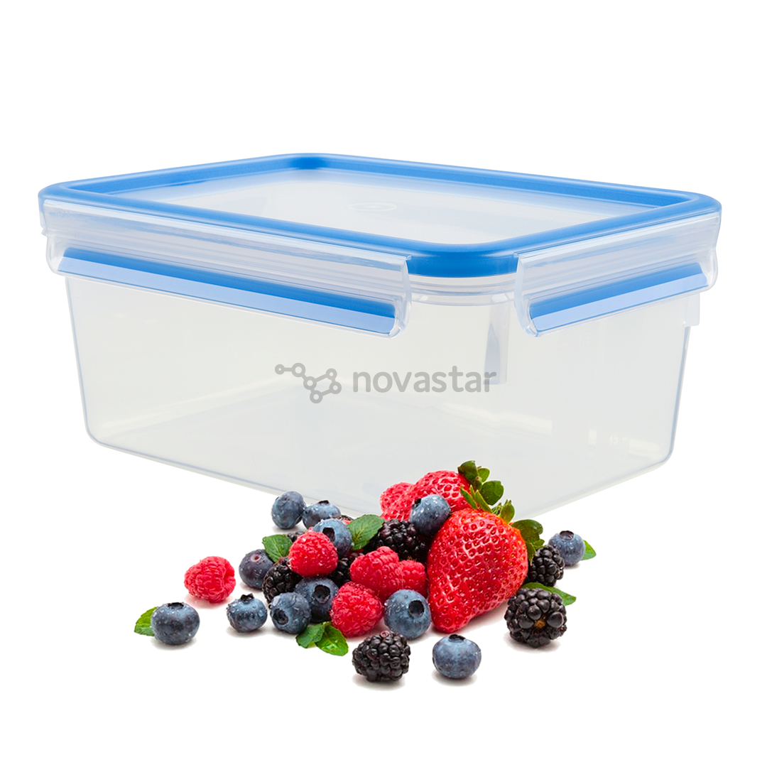 Maisto indelis Tefal 2,3 L., K3021512