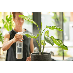 Vandens ozonavimo aparatas TesHub 300 ml, OGRE300