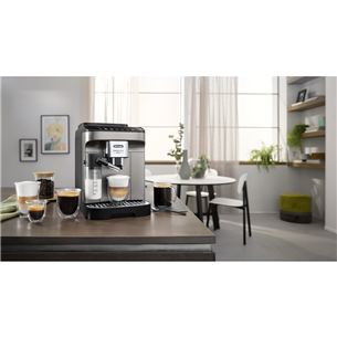 DeLonghi Magnifica EVO, черный/титановый - Кофемашина