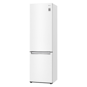 Šaldytuvas LG GBB72SWVGN.ASWQEUR