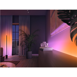Philips Hue White and Color Ambiance Gradient Lightstrip Extension, 1 meter - Smart lightstrip