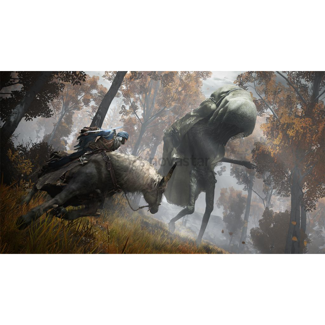 Žaidimas PS4 Elden Ring Launch Edition