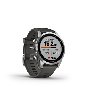 Išmanusis laikrodis Garmin fenix 7S, Silver/Graphite