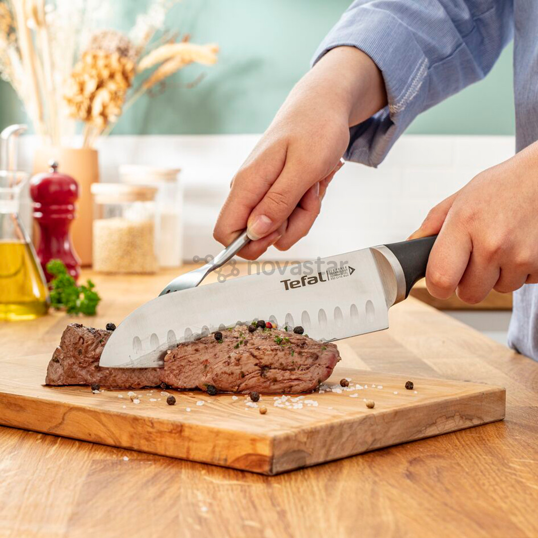 Tefal Ice Force - Wooden block with 5 knives