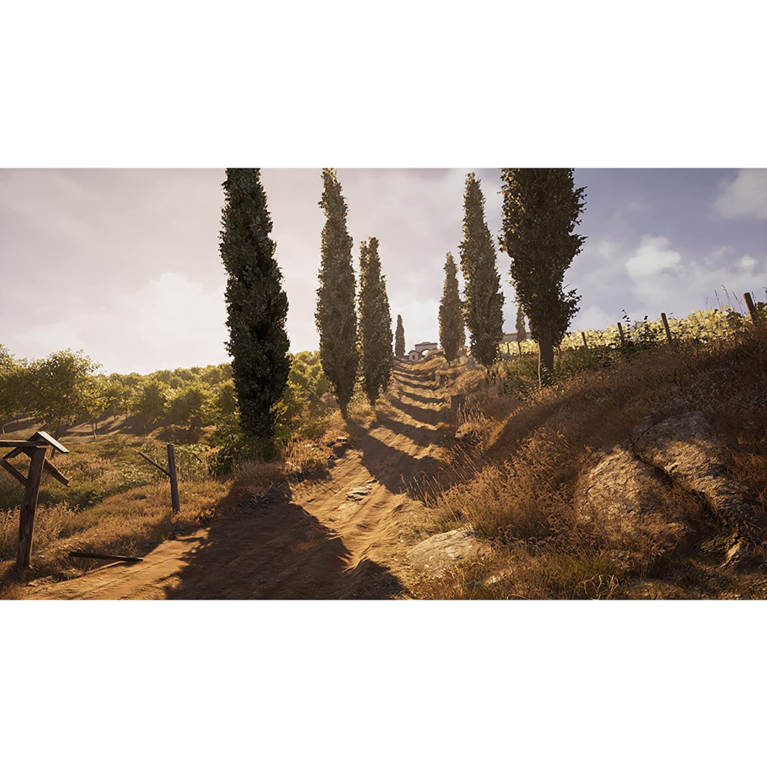 Žaidimas PS4 Martha is Dead 