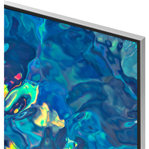 Televizorius Samsung QE55QN95BATXXH