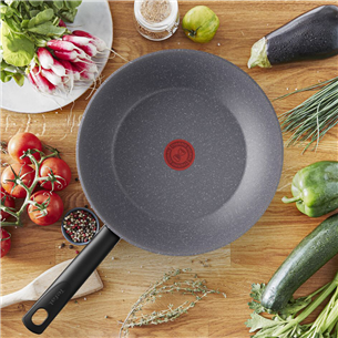 Tefal Natural on, diameter 26 cm, grey - Frying pan