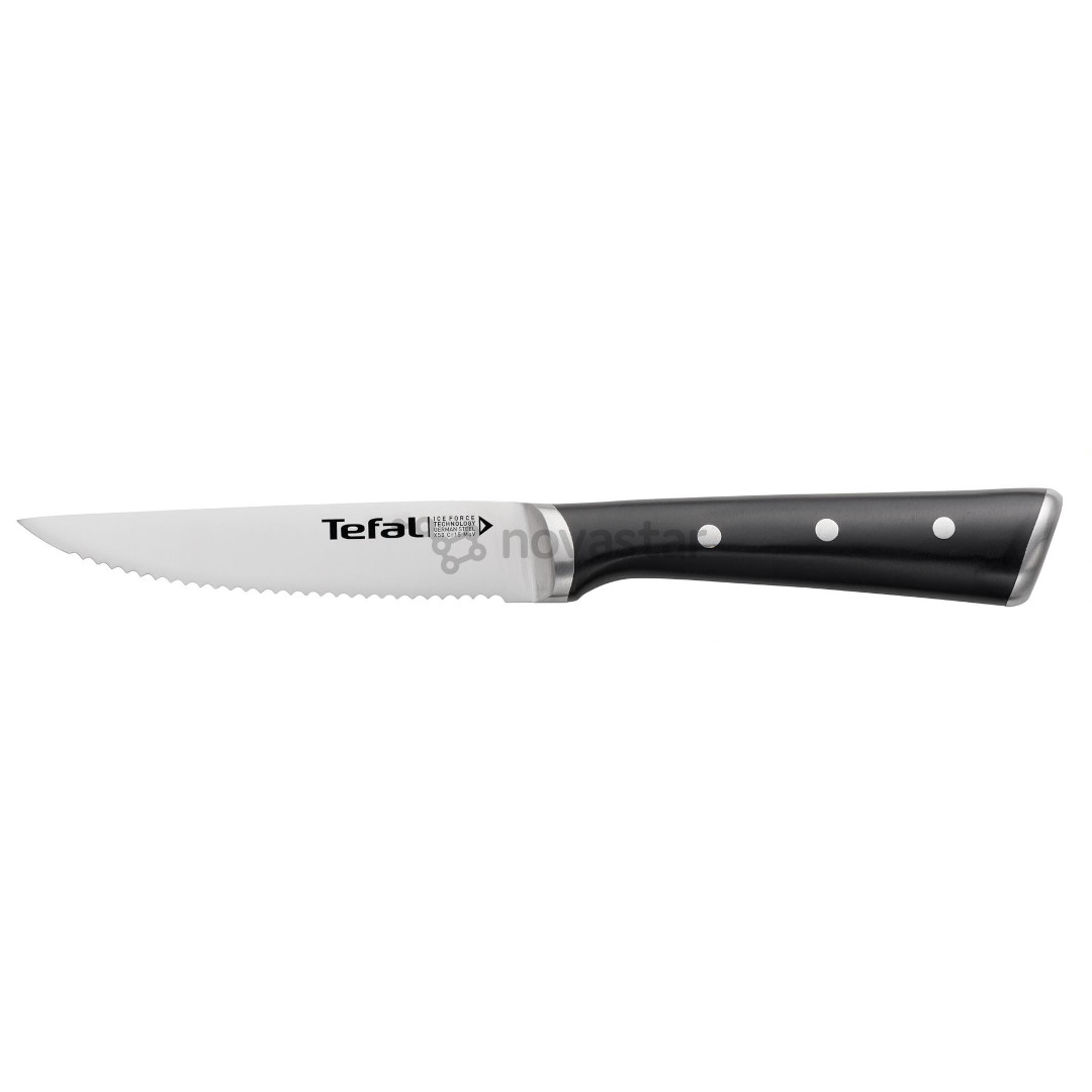 Tefal Ice Force, 4 pieces, blades length 11 cm - Knives set
