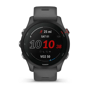 Garmin Forerunner 255, серый - Спортивные часы