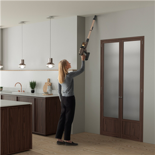 Dulkių siurblys Electrolux EP81U25ULT