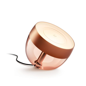 Išmanioji lemputė Philips Hue Iris Special Edition, copper 929002376803