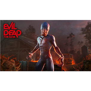 Žaidimas PS4 Evil Dead: The Game
