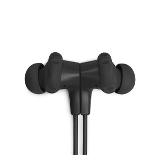 JBL Endurance Run 2, black - Sports headphones