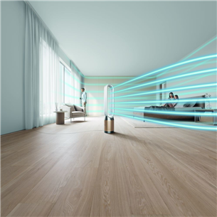 Dyson Cool Formaldehyde™, белый/серый/золотистый - Очиститель воздуха