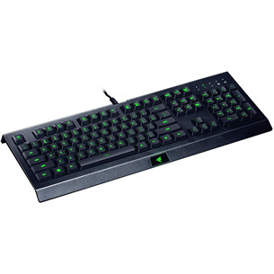 Klaviatūra Razer Cynosa Lite, US, black