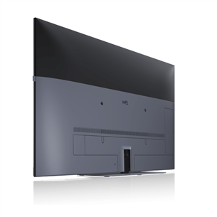 Loewe We. SEE, 43", LED LCD, Ultra HD, серый - Телевизор