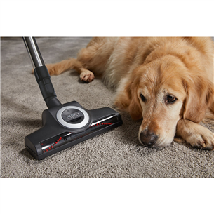 Miele Complete C3 Cat & Dog, 890 W, red - Vacuum cleaner