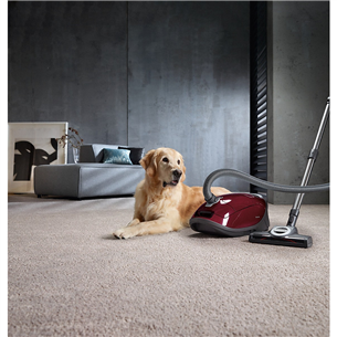 Miele Complete C3 Cat & Dog, 890 Вт, красный - Пылесос