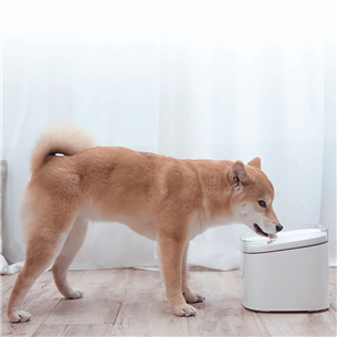 Xiaomi Smart Pet Fountain, 2 L, white - Smart water housekeeper for pet