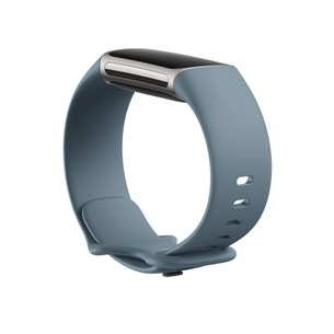 Dirželis Fitbit Infiinity Charge 5 L, Steel blue
