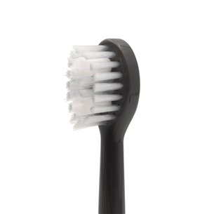 Dantų šepetėlių antgaliai Spotlight Sonic, Gray, 3 vnt.