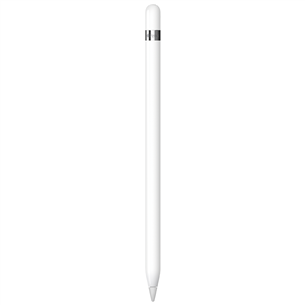 Apple Pencil (1st gen)