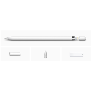 Apple Pencil (1st gen)