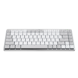 Belaidė klaviatūra Logitech MX Mechanical Mini for Mac, SWE