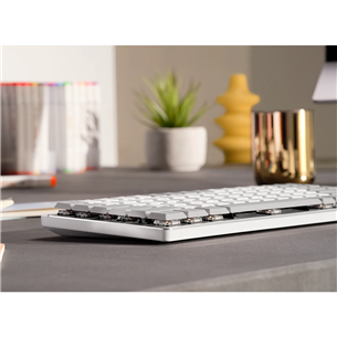 Klaviatūra Logitech MX Mechanical Mini for Mac, US, belaidė