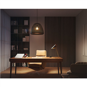 Philips Hue White, E27, white - Smart Light