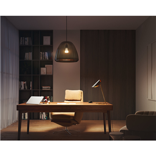 Išmanioji lemputė Philips Hue White, E27, white
